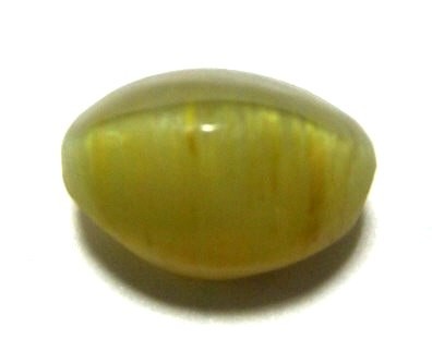 Cat's Eye (Lehsunia)