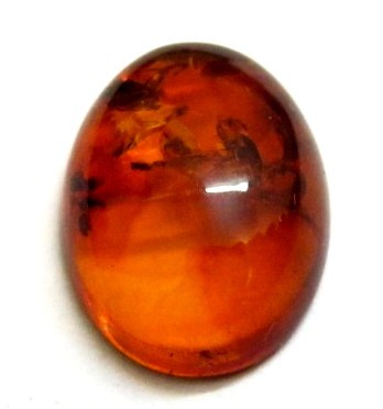 Natural Amber