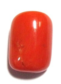 Red Coral (Moonga)